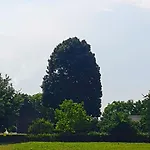 De Nieuwenhof 'de Tuinkamer'