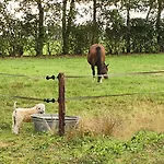 De Nieuwenhof 'de Tuinkamer' 3* Melderslo