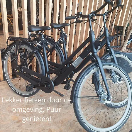 De Nieuwenhof 'de Tuinkamer' Nocleg ze śniadaniem