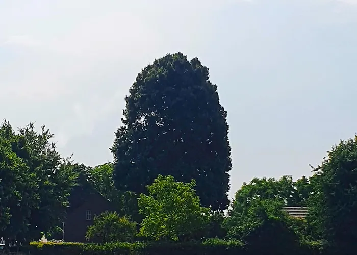 De Nieuwenhof 'de Tuinkamer'