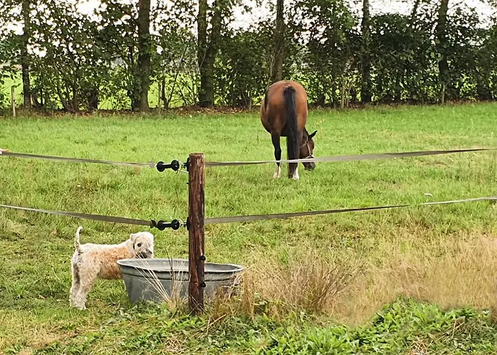 De Nieuwenhof 'de Tuinkamer' 3* Melderslo