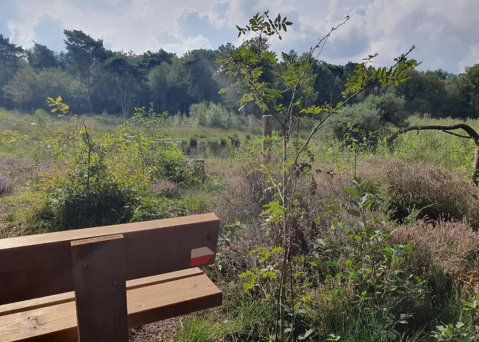 De Nieuwenhof 'de Tuinkamer' Melderslo